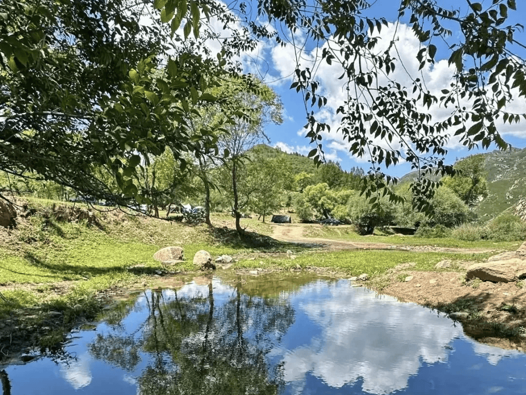 Servet Demir tweet media