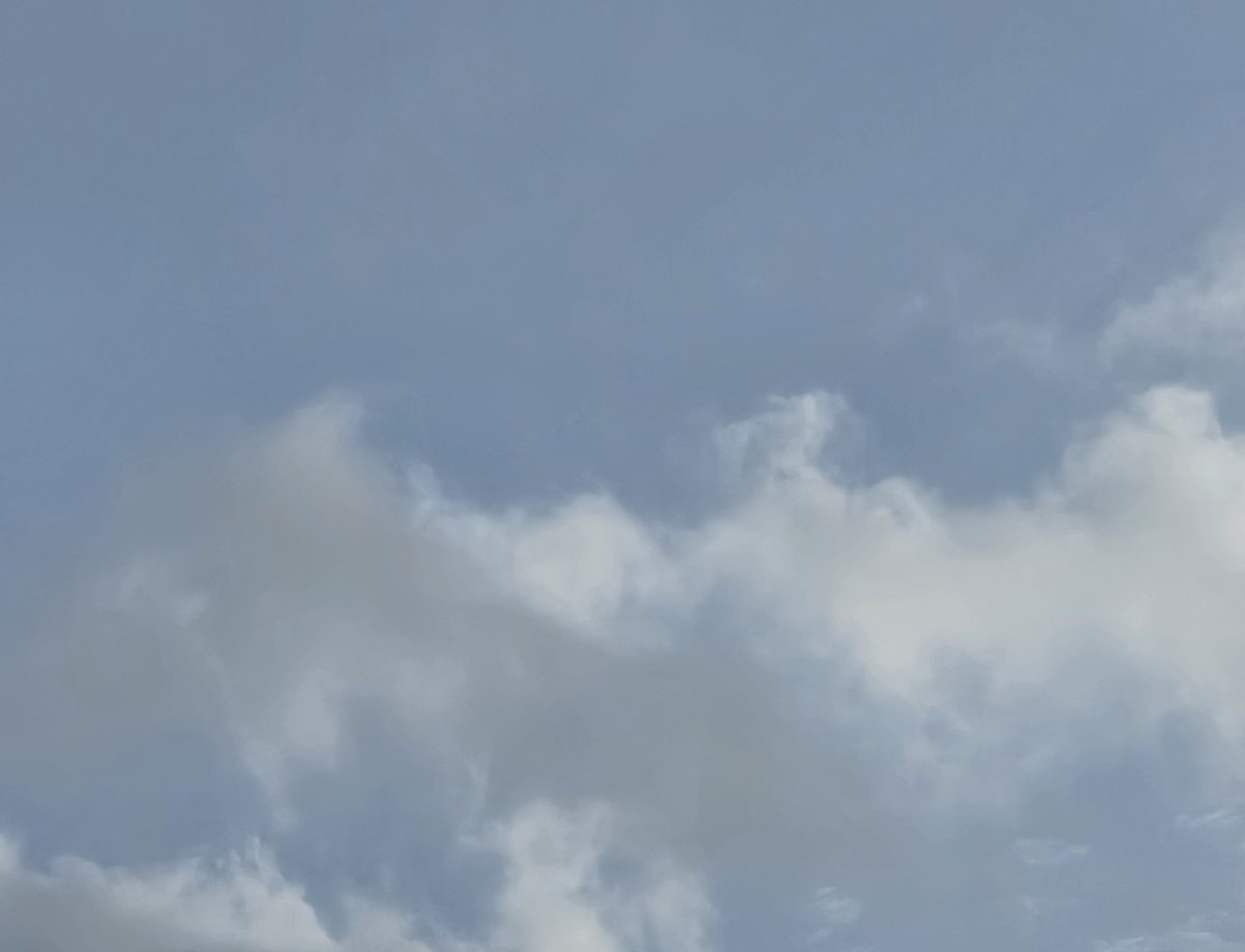 カトレア tweet media