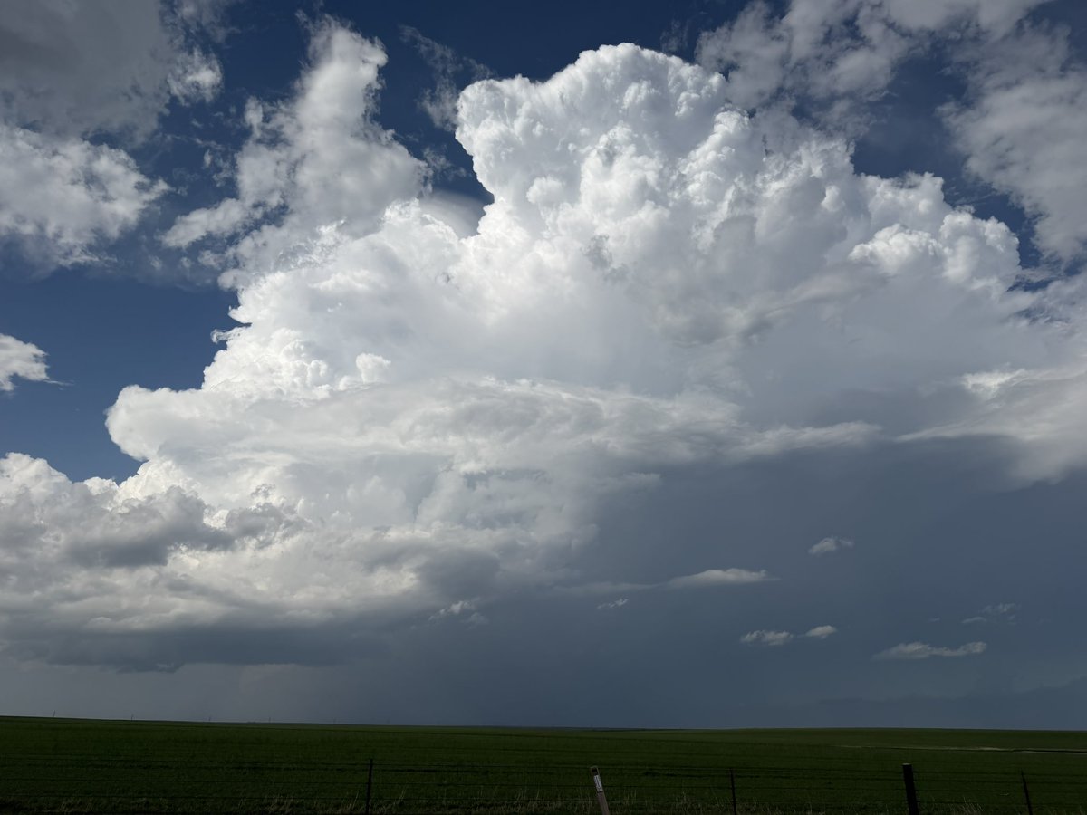 Ryan Pitt tweet media