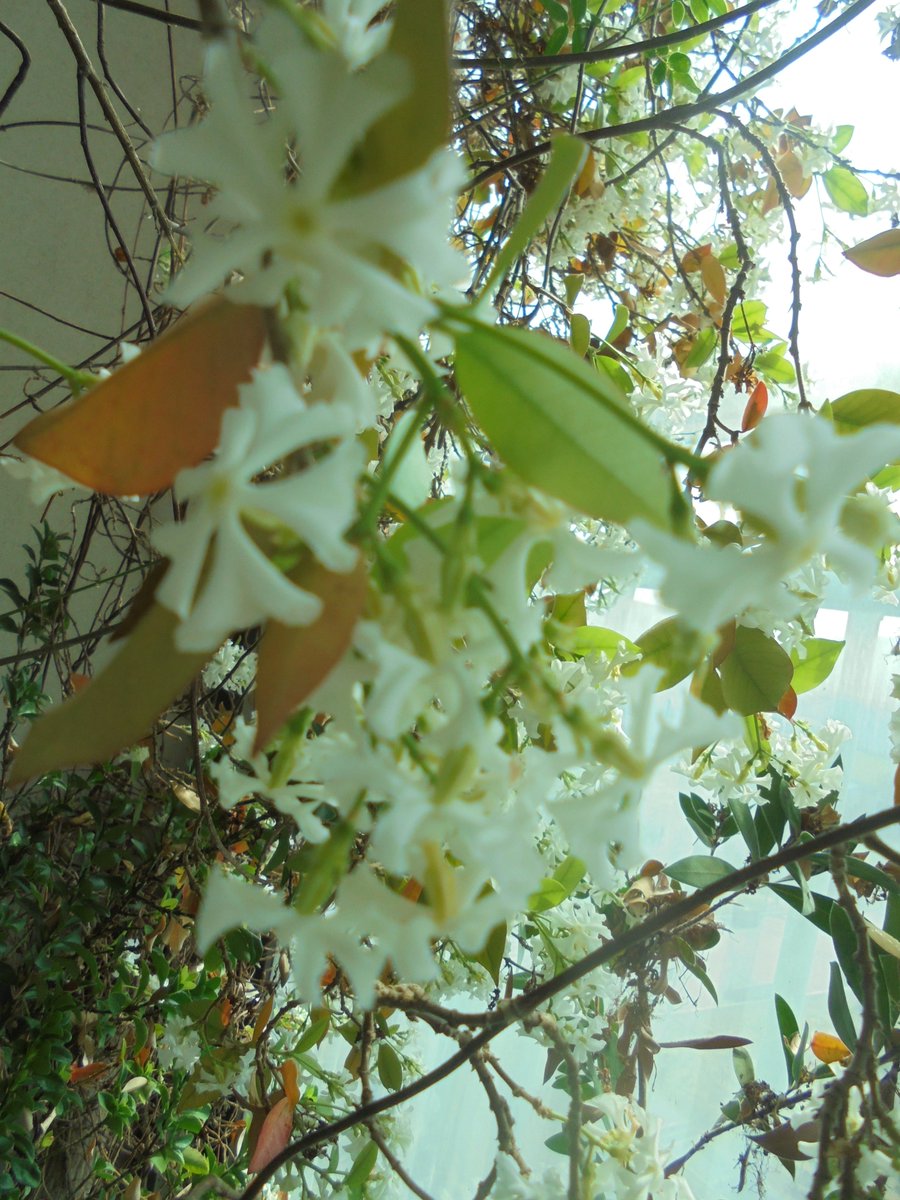 이근제 tweet media