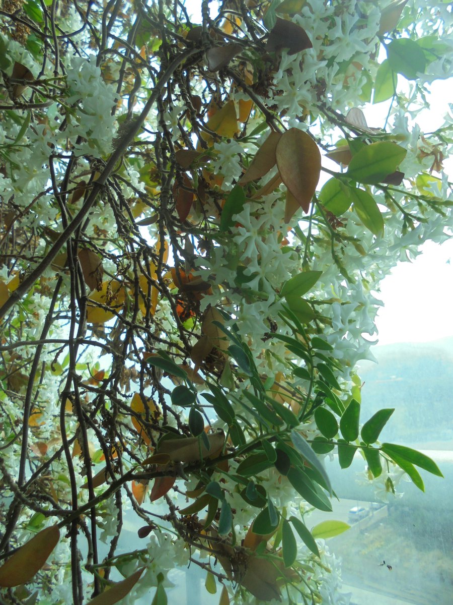 이근제 tweet media