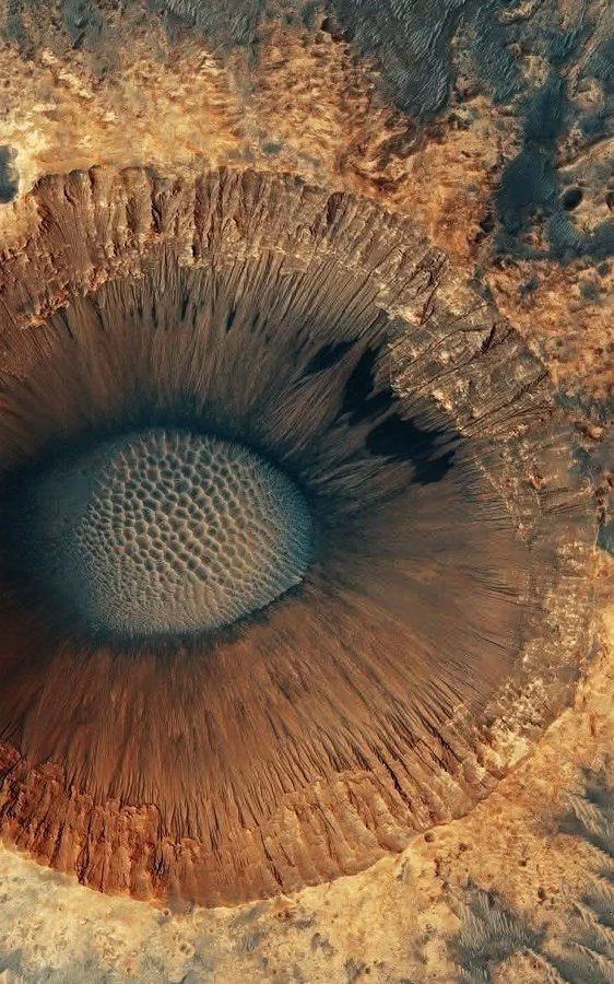 Black Hole tweet media