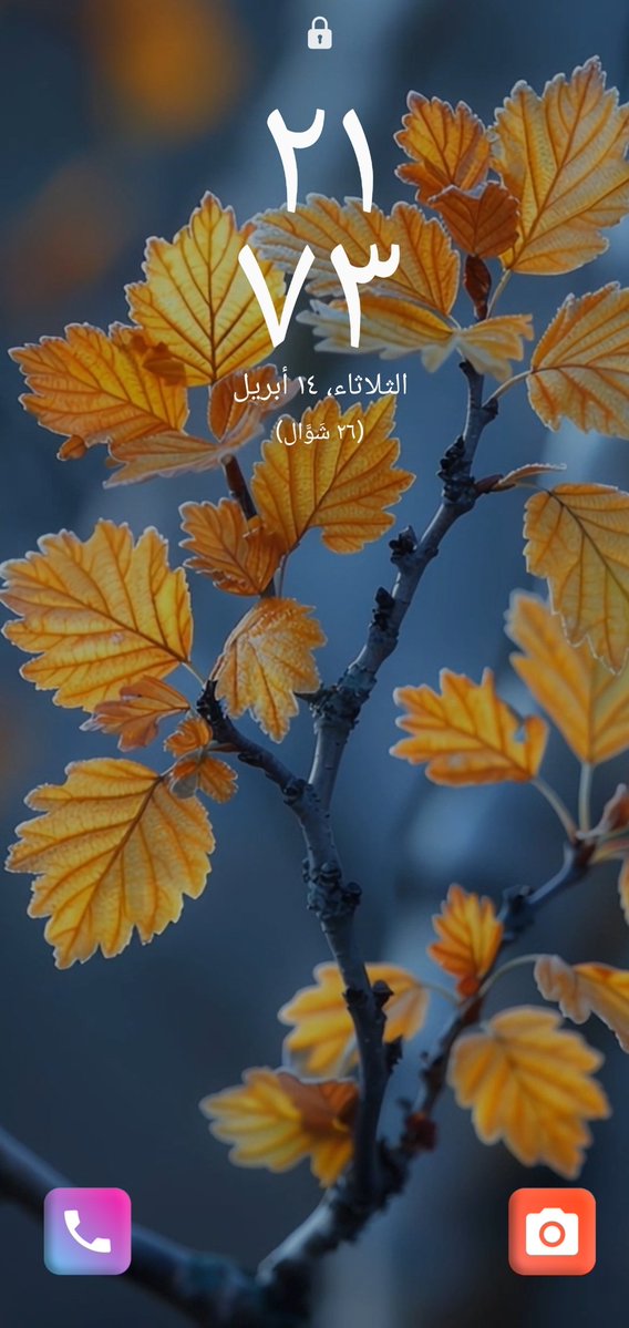 ليلــــــــــــى..📝📚 tweet media