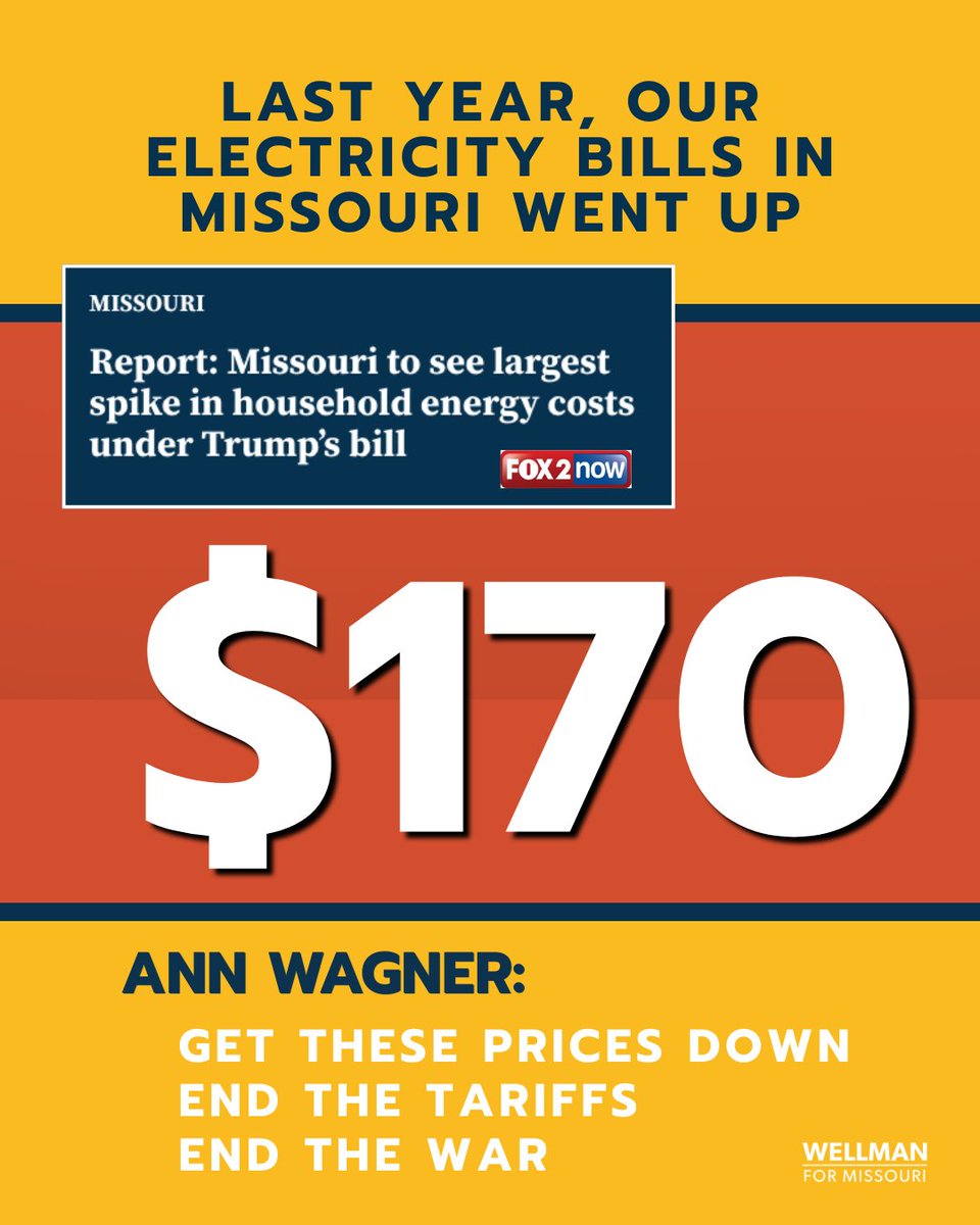 WellmanForMO tweet media