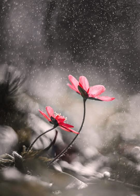 Vuslat💫 tweet media