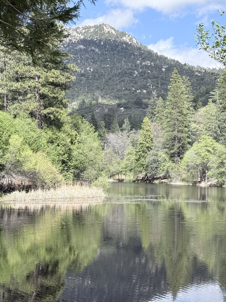 だいち tweet media