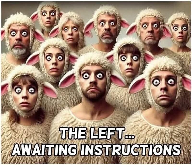 Mark Harris tweet media