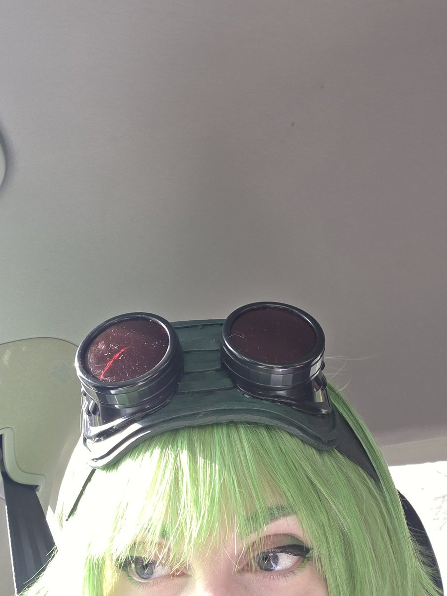 🐯🌸 tweet media