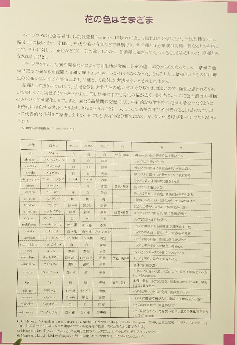 がねこる tweet media