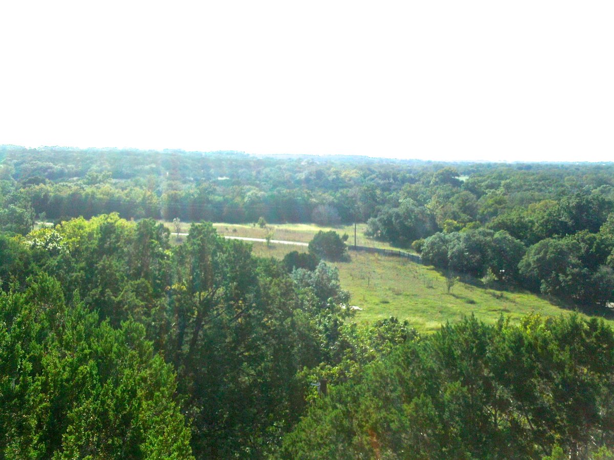 Eddie Tennison tweet media