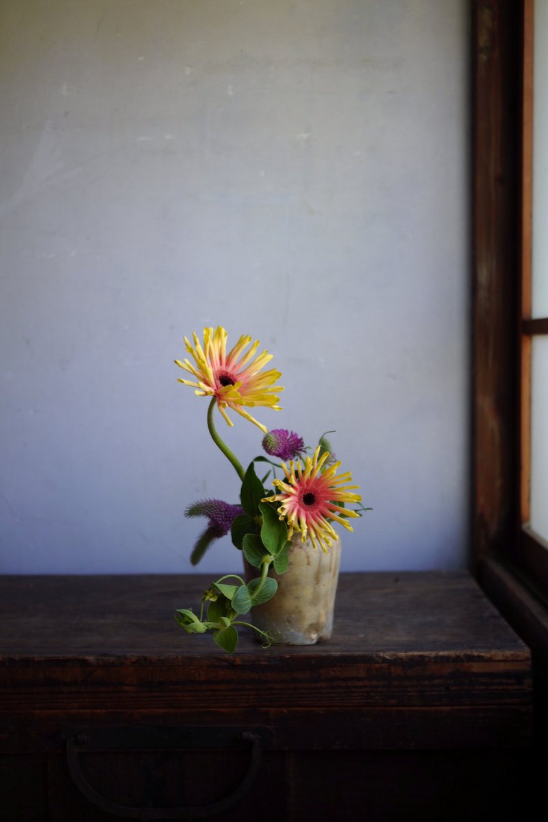 trois 花の会　5/16 6/13@静岡アトリエ tweet media