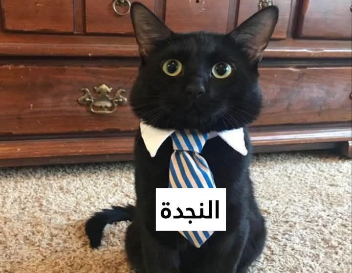 Omar|عُمَرْ ☭ tweet media