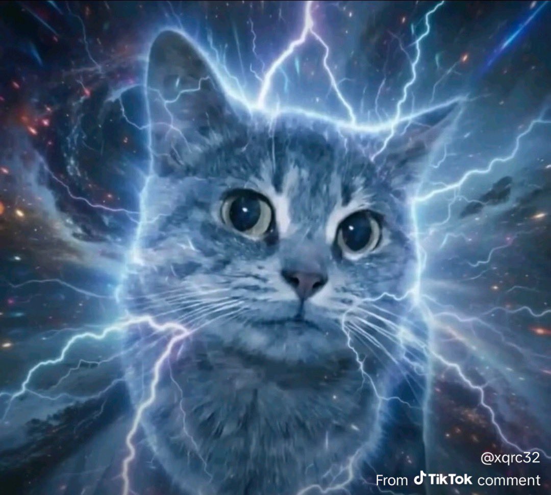 Its Onions Based tweet media