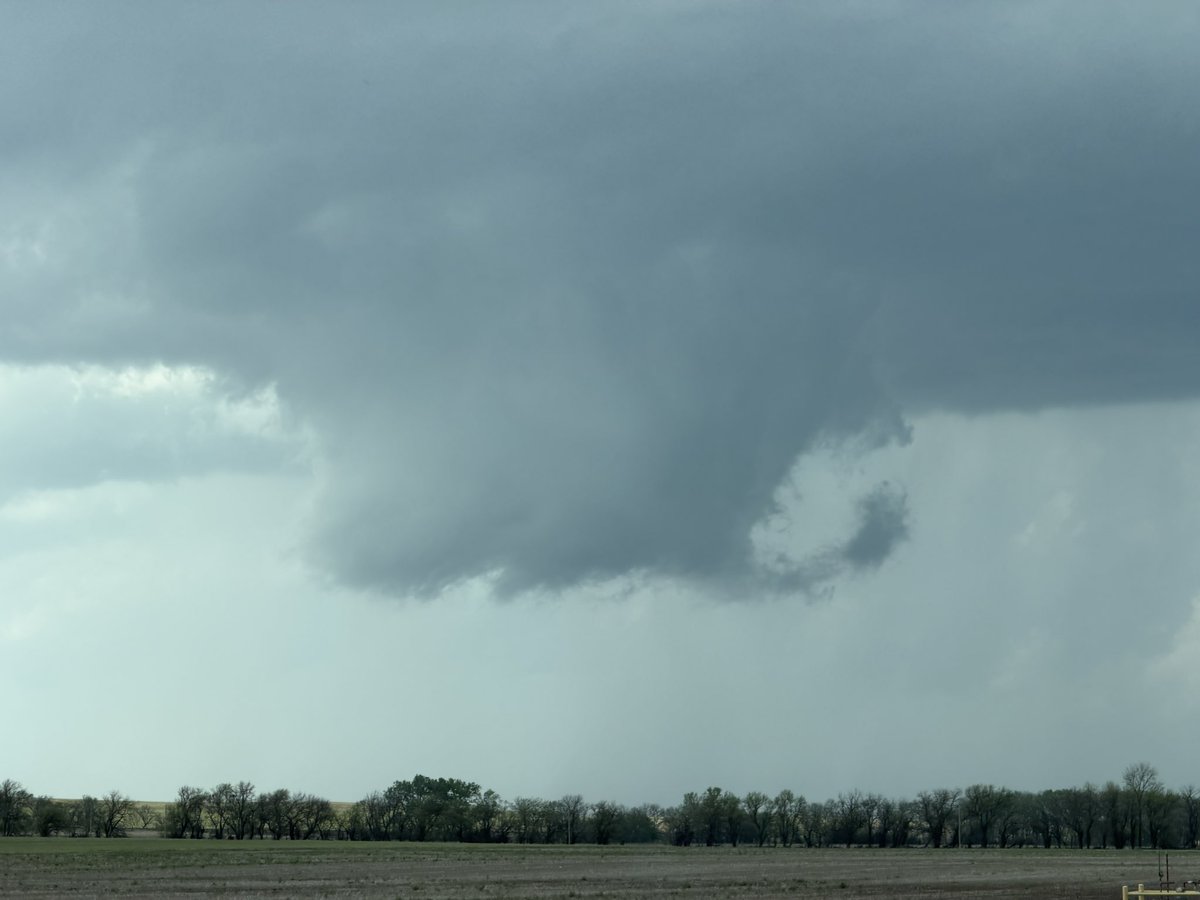 Ryan Pitt tweet media