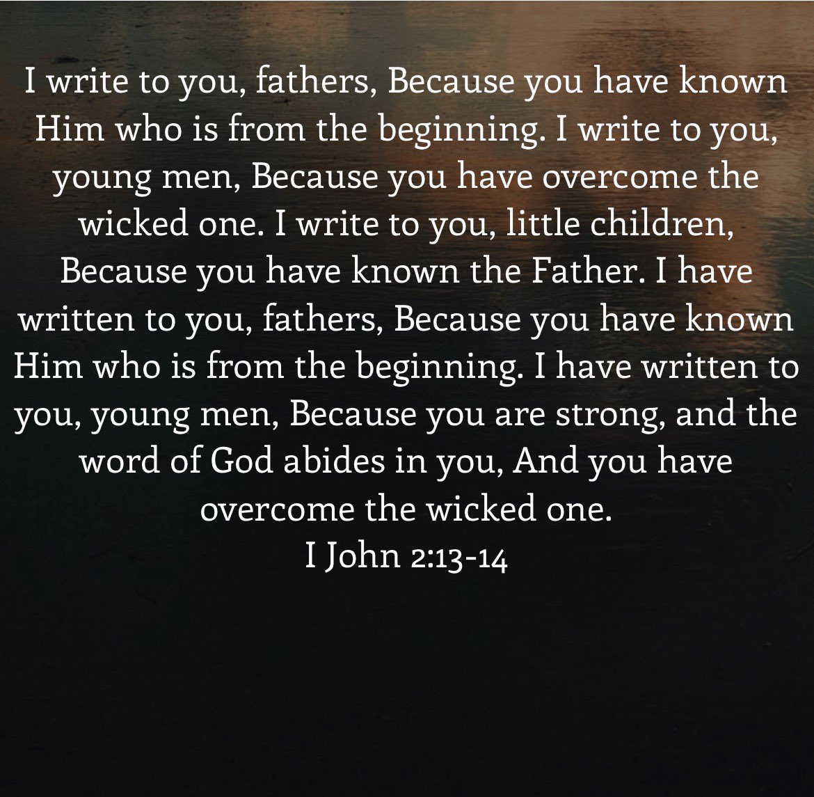 Christ is King ♱ tweet media