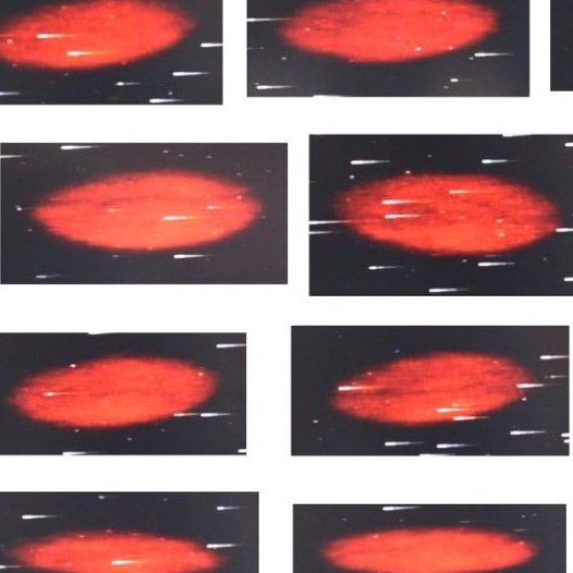 Para Nørmal tweet media