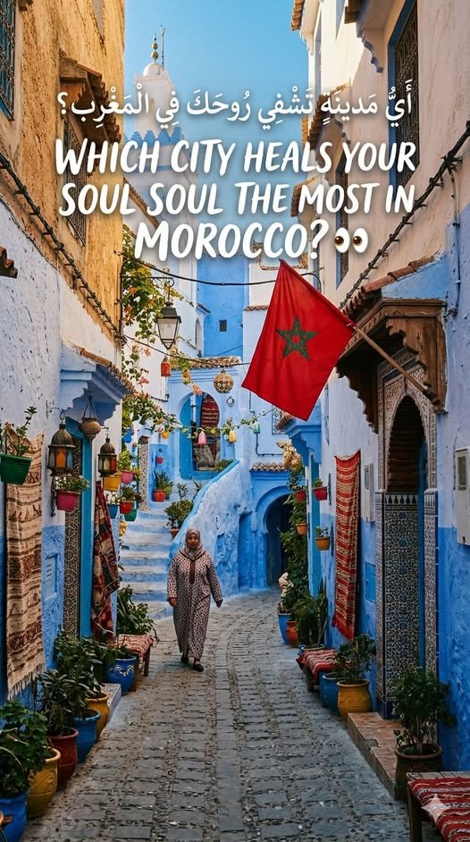 sarakhalial tweet media