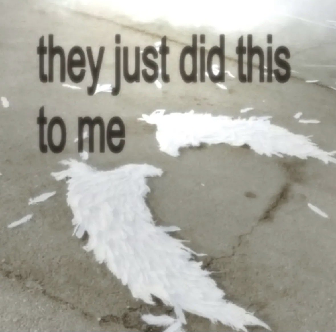 Azra Şeneroğlu🪽 tweet media