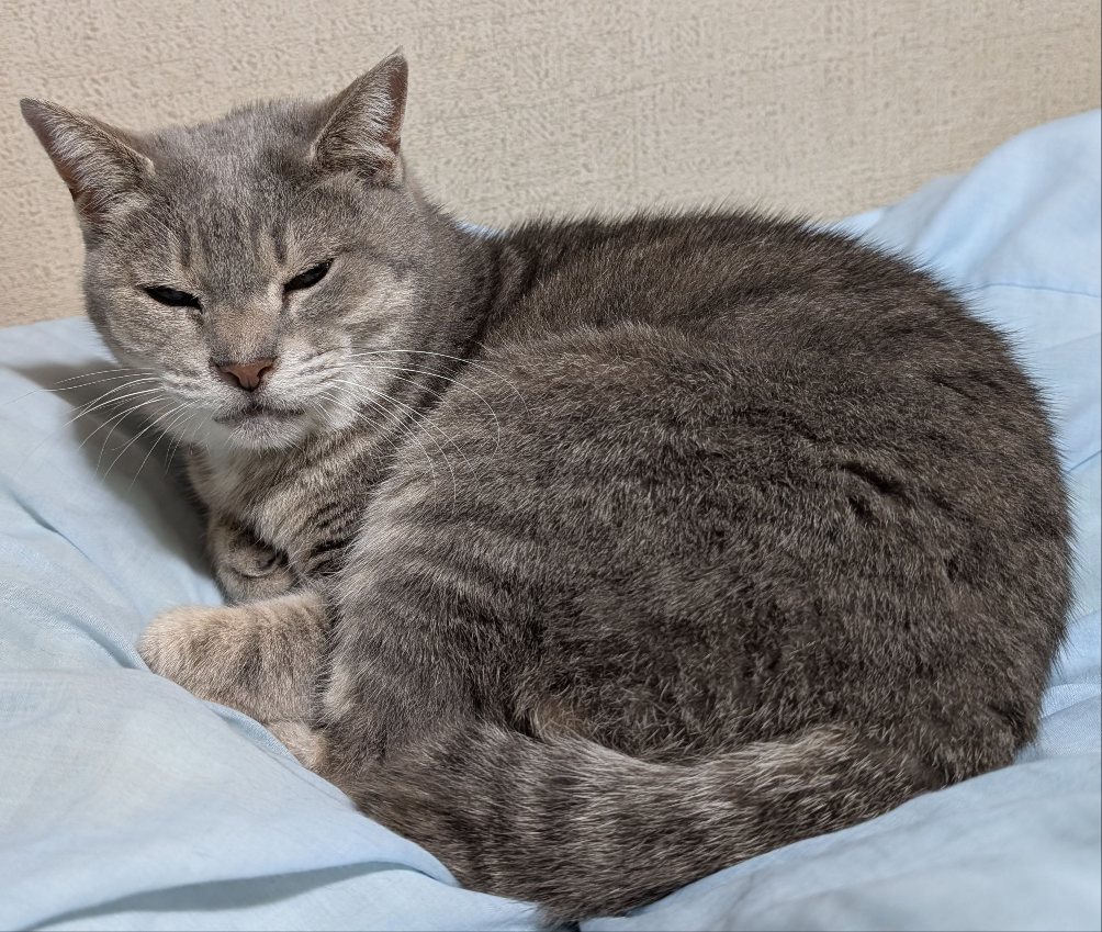 なぎべえ(ツイ廃控えめ) tweet media