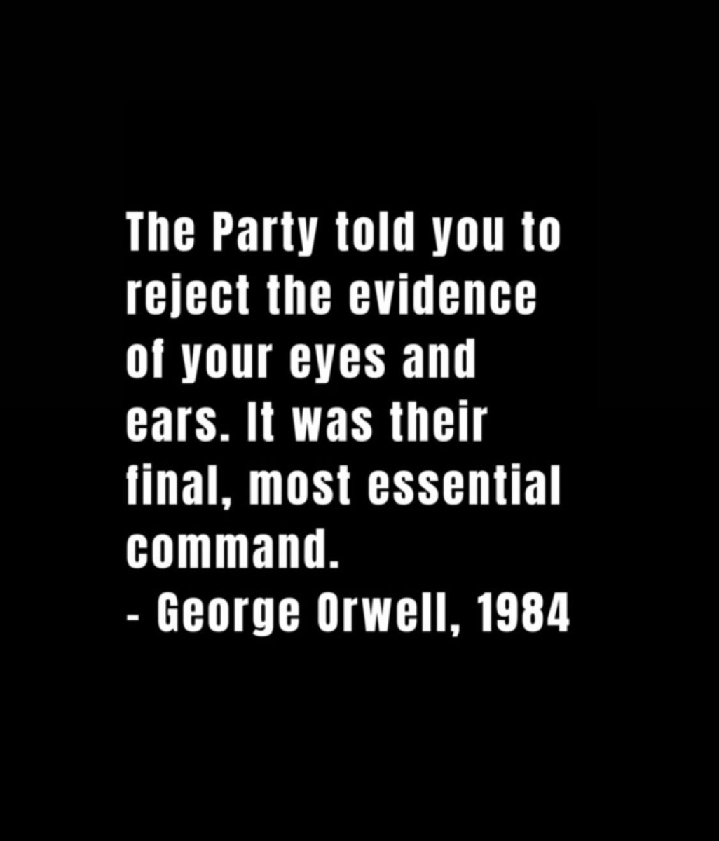 Democratic Deb tweet media