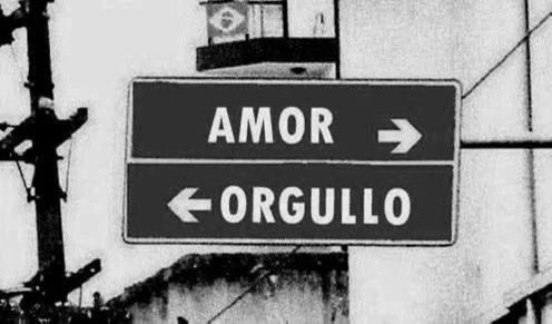 Sofy ✨ tweet media