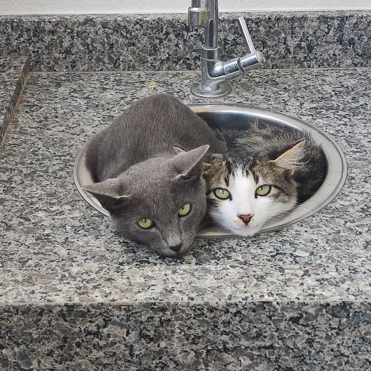 Richellyna tweet media