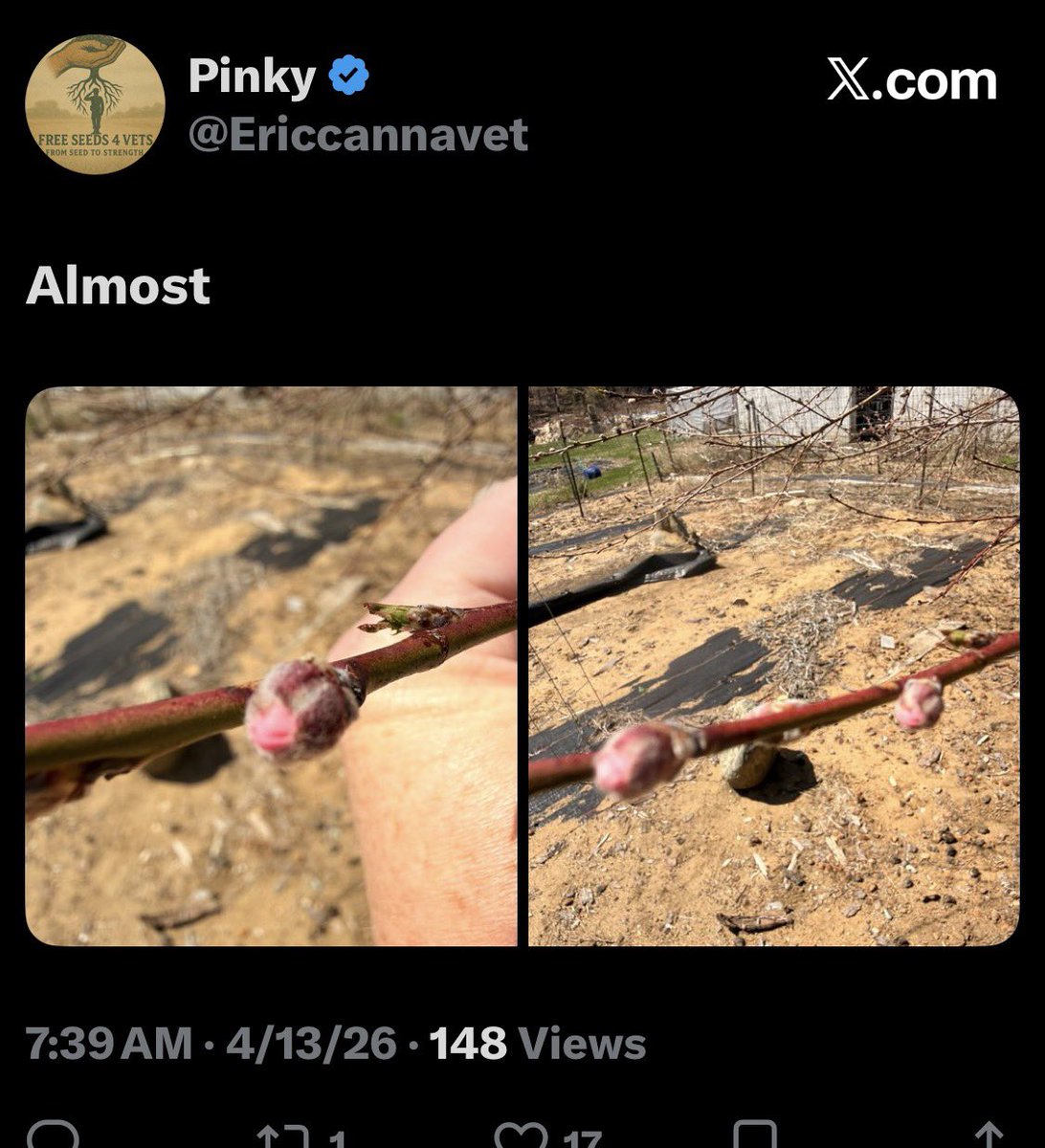 Pinky tweet media