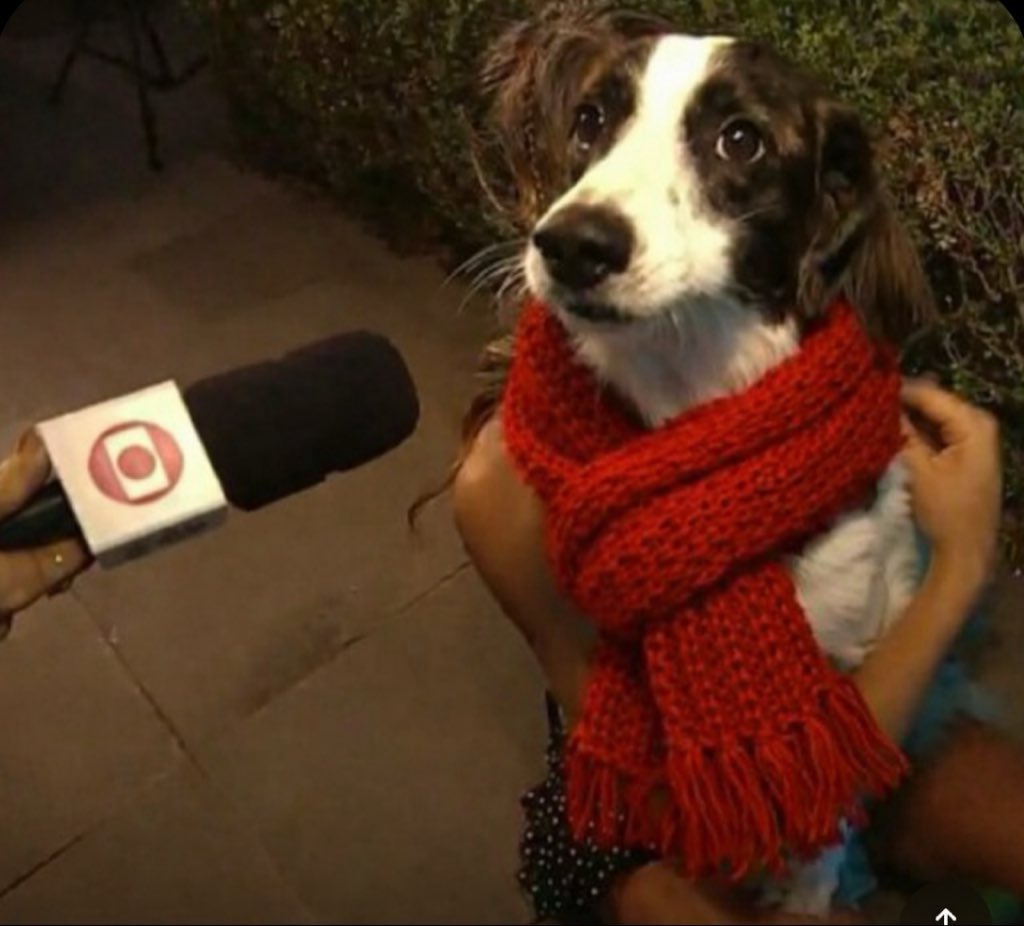 tuêzin noia da puc🧣 tweet media