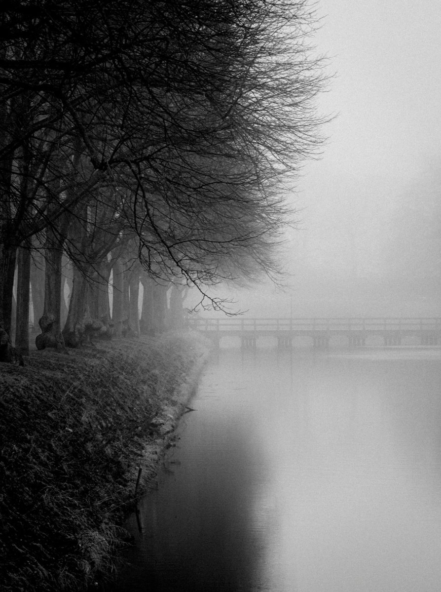 Apostrophe tweet media