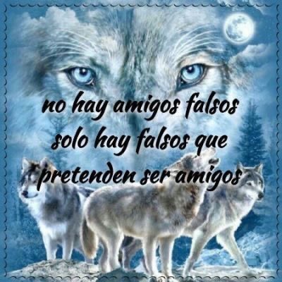 avenida de la constitución española tweet media