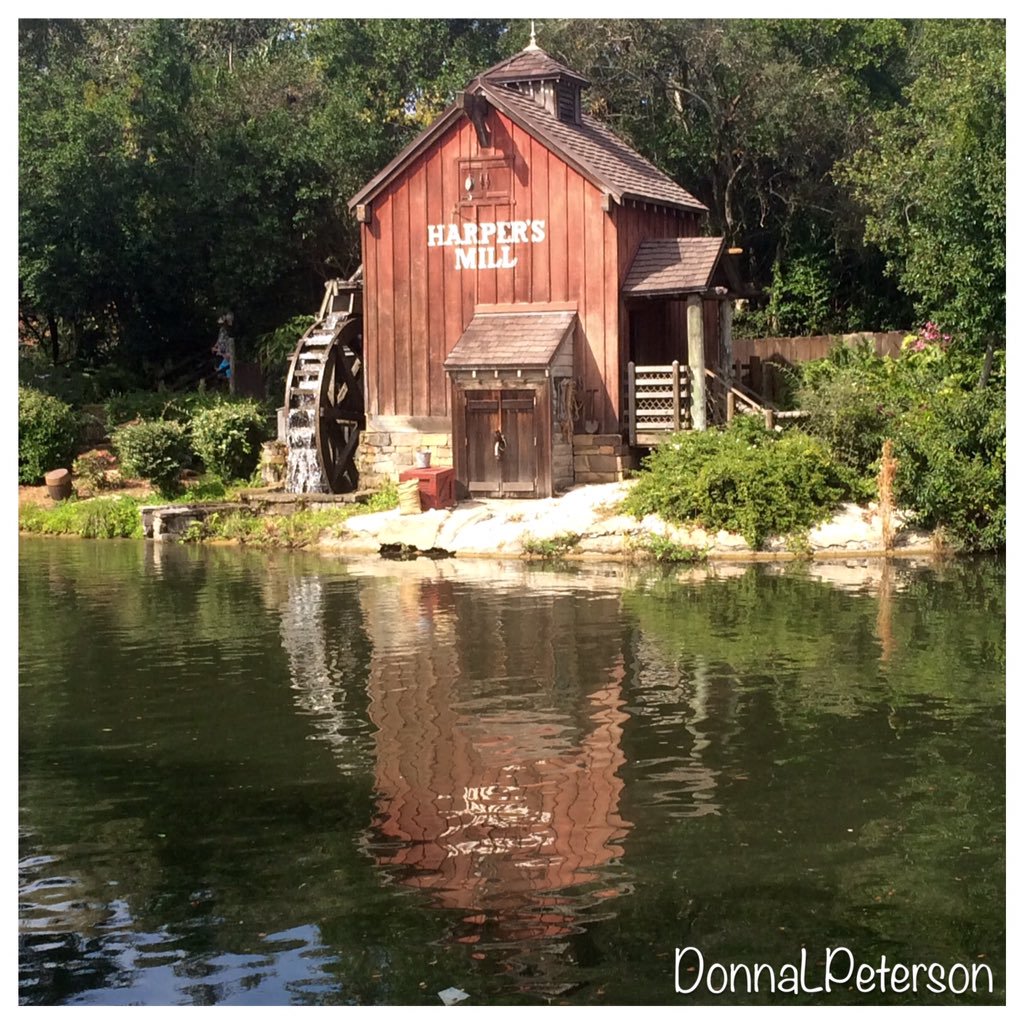 Joe Eliseon tweet media