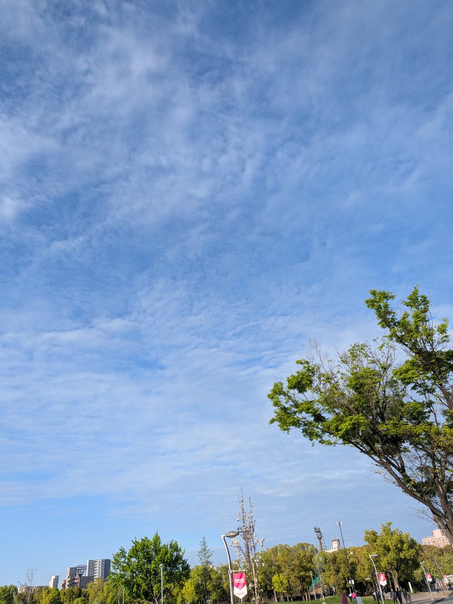 今日は旦那とお休みが一緒。
なので、朝からお散歩だぁ！