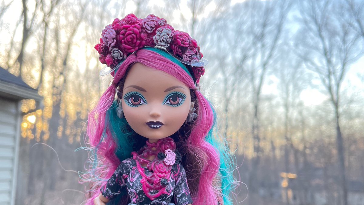 🍃🌷🍃 tweet media