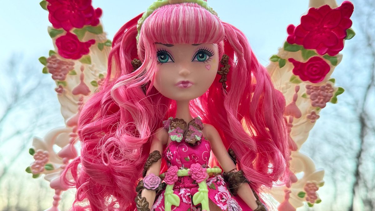 🍃🌷🍃 tweet media