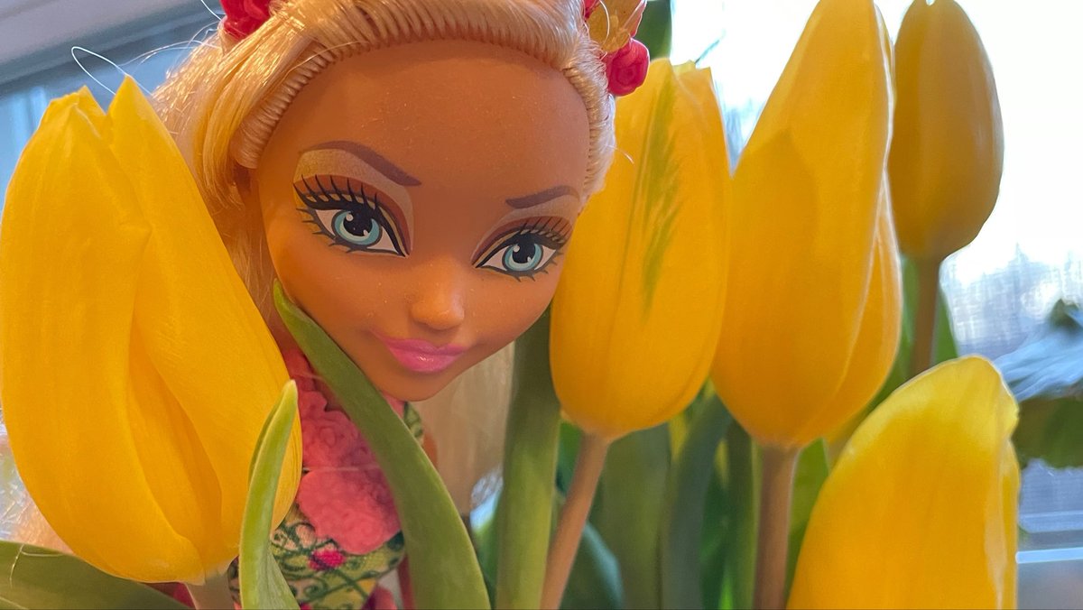 🍃🌷🍃 tweet media