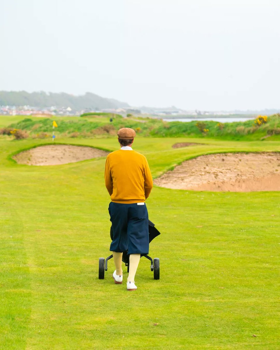 Photo Caddie Scotland tweet media