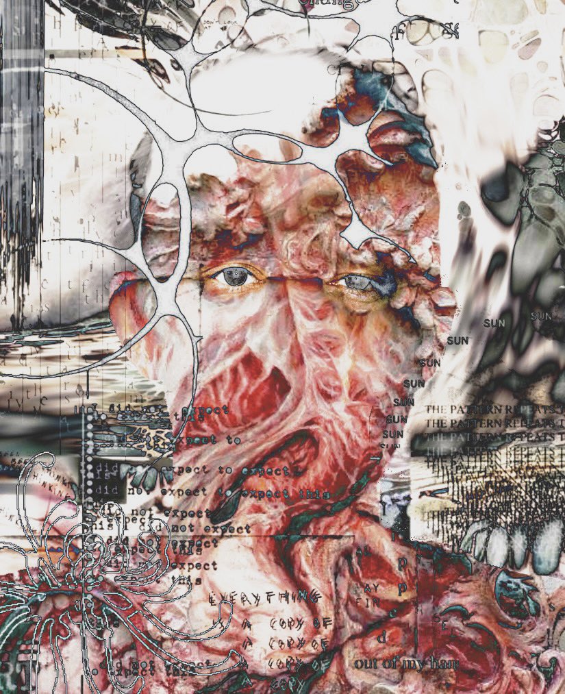 colin 🌱 tweet media