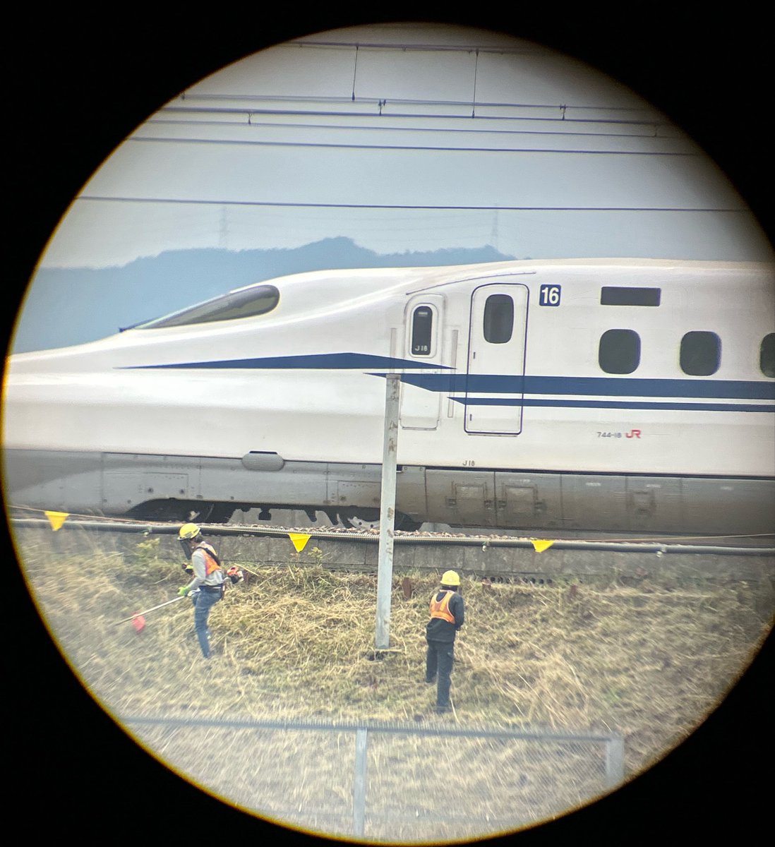 ぬくぬくtomo🌈 tweet media