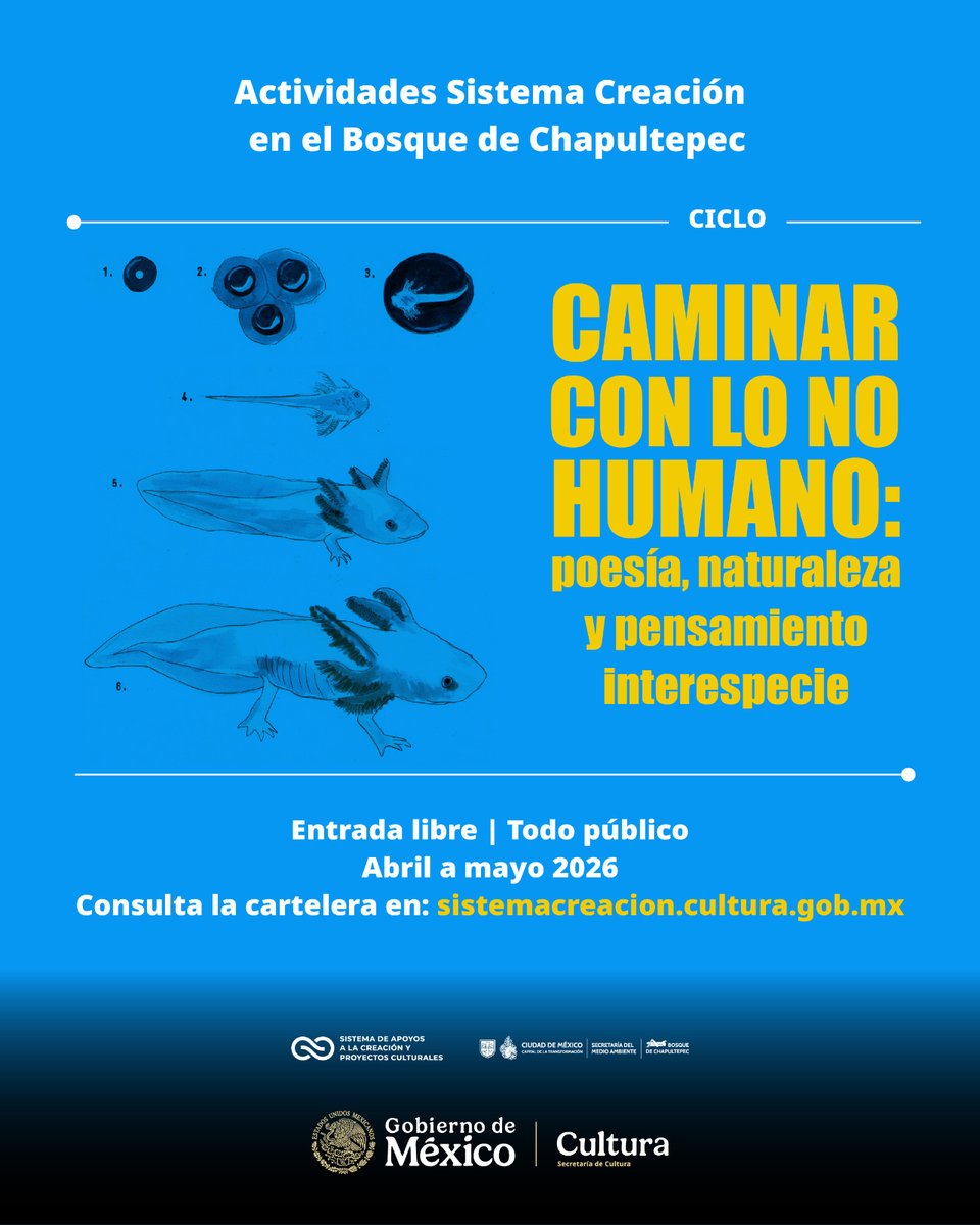 SistemaCreacion's tweet image. ¿Te interesan la escritura y la relación del ser humano con el planeta? Participa en este ciclo de caminatas con escritores en #Chapultepec. 

Entrada libre
Registro a programacion.coordinacion@cultura.gob.mx

Cartelera: acortar.link/Ztu1kT

@ChapultepecCDMX @cultura_mx