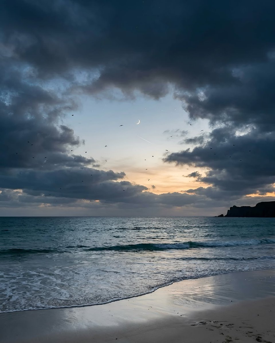 بحر 🌊 tweet media