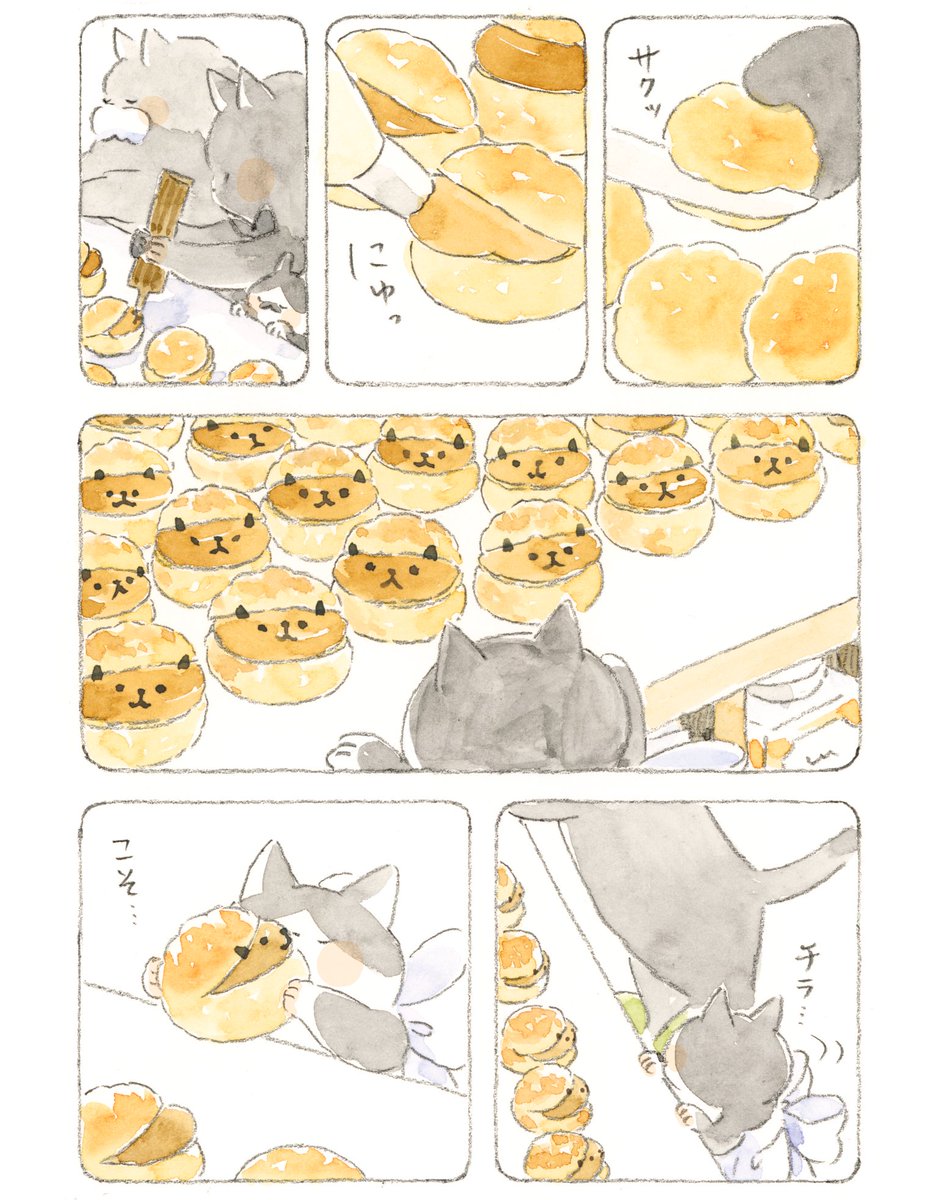 ねこまき倉庫 tweet media