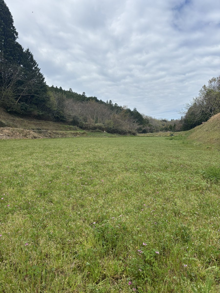 おはようございます🍯🐝🥰
島根県浜田市の今朝は、くもり

蜂場そばの畑のレンゲが咲き始めました
まだ少しですが、ワクワクです
ミツバチ🐝も来ていました(*´꒳`*)

#企業公式が毎朝地元の天気を言い合う
