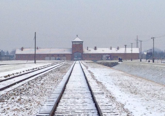 Arsen Ostrovsky tweet media