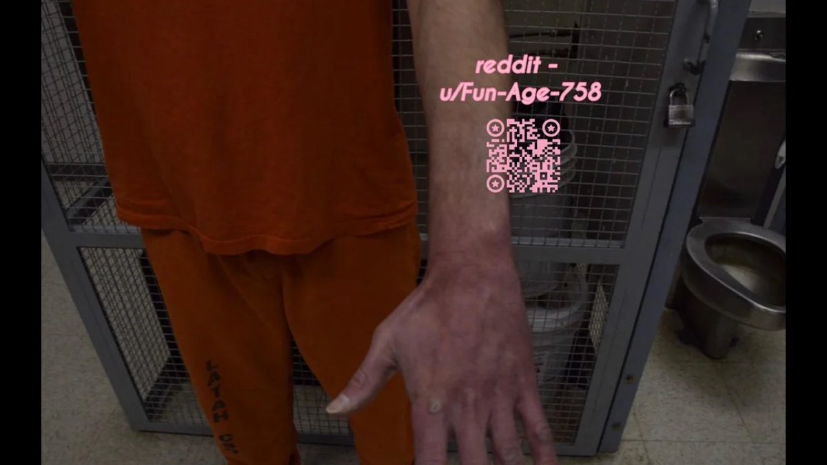 Idaho4 3D Theory Series tweet media