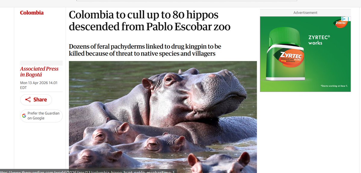 Glyph Engine tweet media