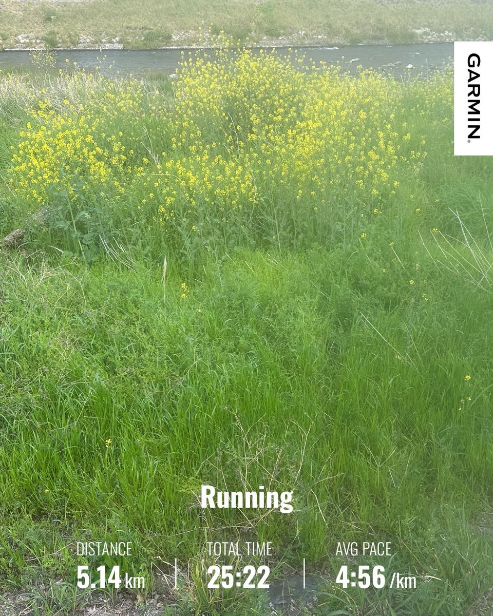 KWashizawa's tweet image. あと4日🤞

#garmin #beatyesterday #finishSTRONG #BostonMarathon  #炭平コーポレーション #adidas #adizero #adios8