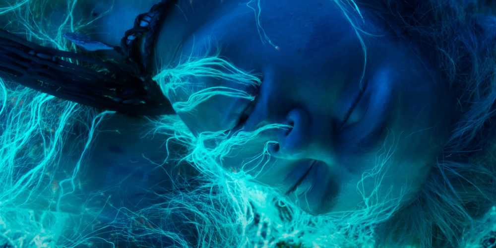 SpidersOnIT🕷️ tweet media