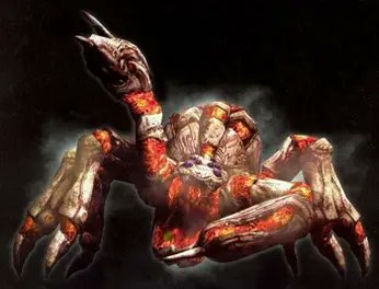 LeoShaddz tweet media