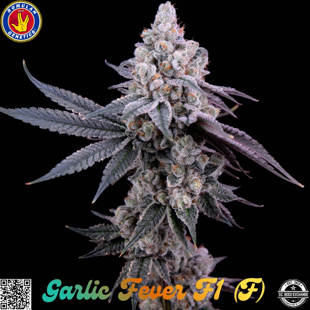 DC Seed Exchange tweet media