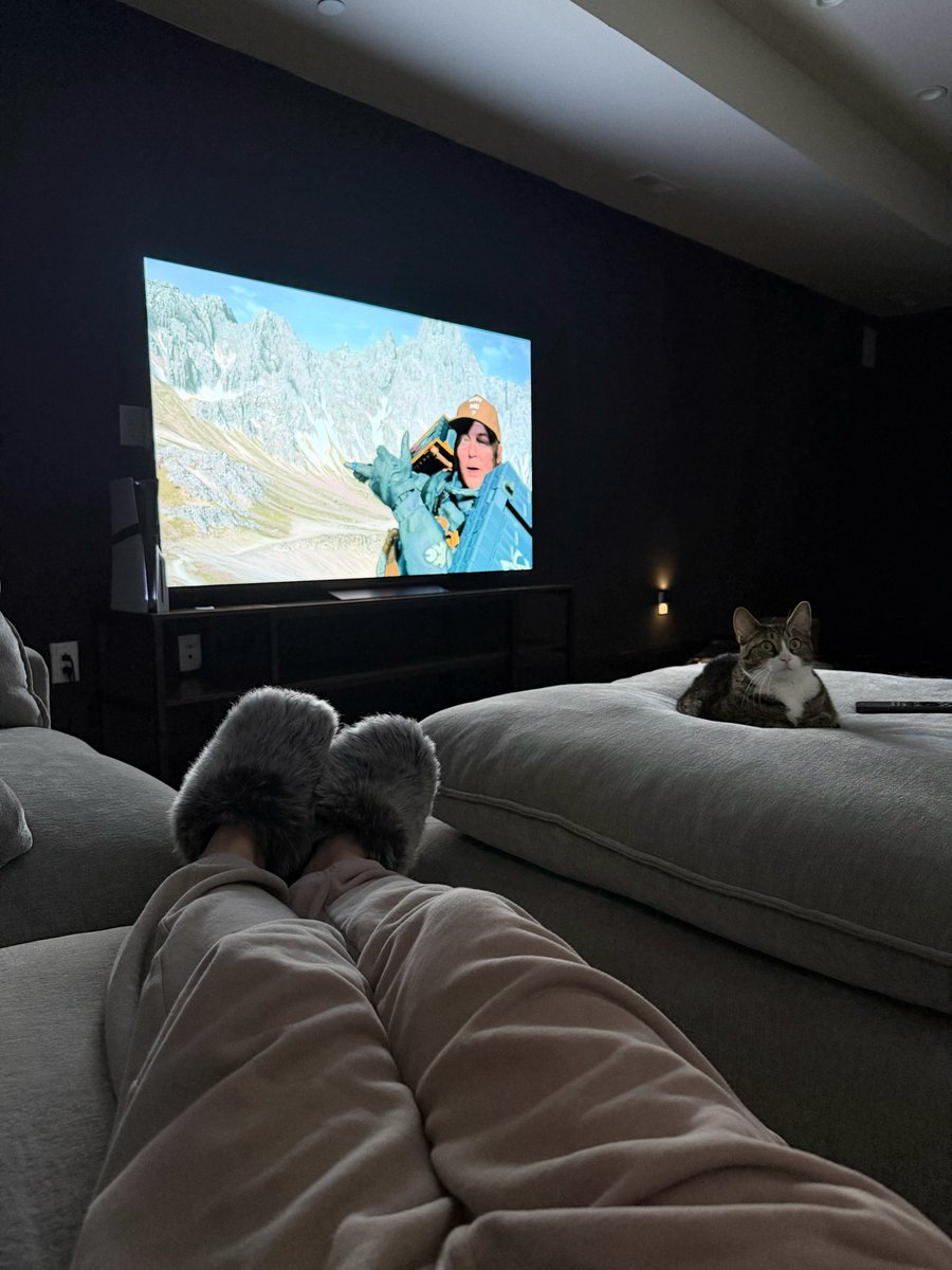 🐈‍⬛ tweet media